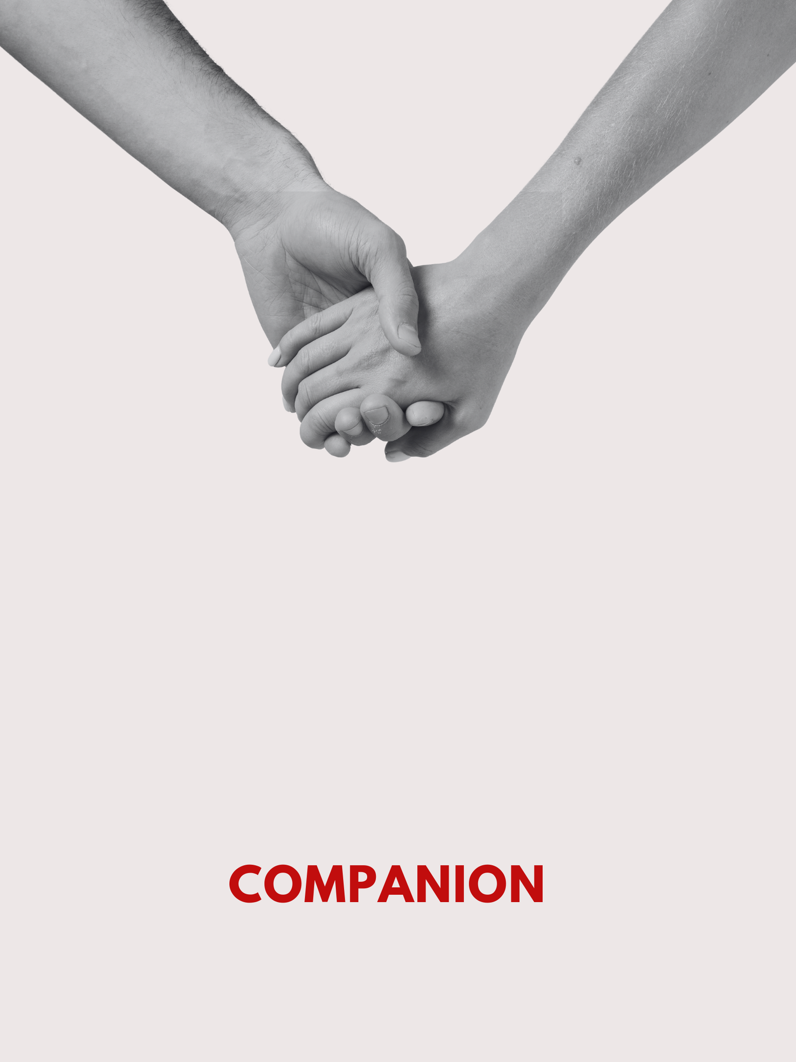 Read more about the article Companion (2025) – Film Review