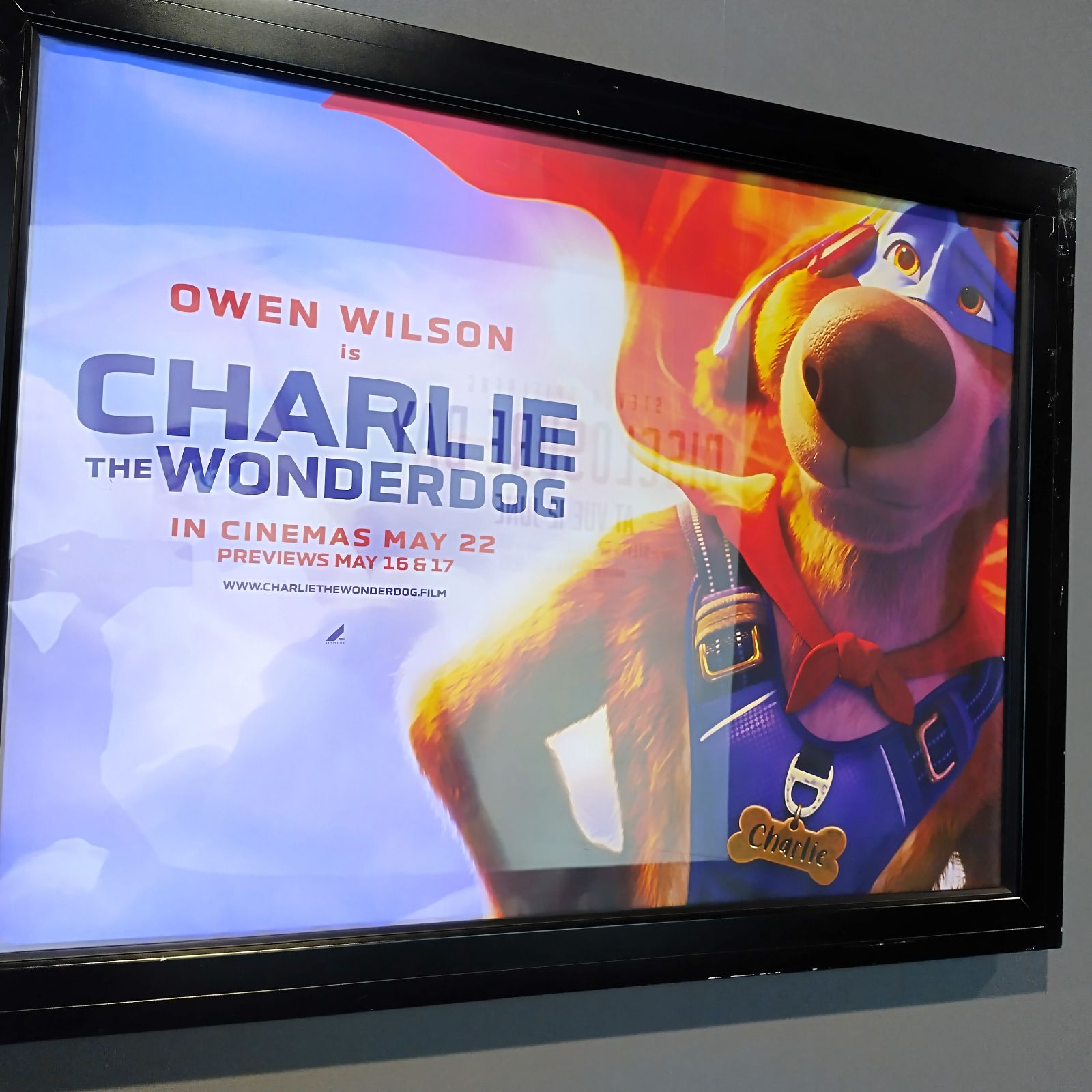 Charlie The Wonderdog Movie Review