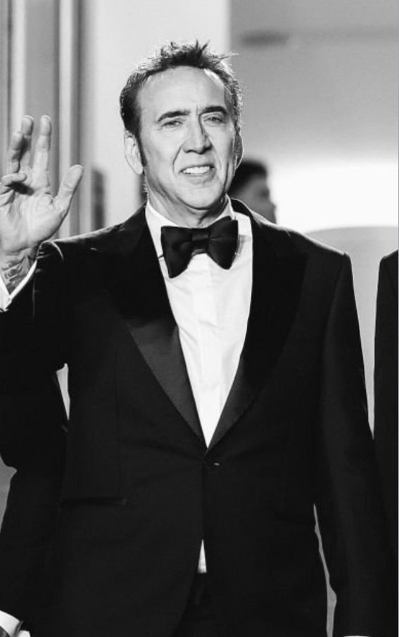World Premiere of "The Surfer" Alexander Bertrand and Nicolas Cage at the 77th annual Cannes Film Festival.
Agentcourse4239
Creative Commons Attribution-Share Alike 4.0
Spider-Noir TV Series Review