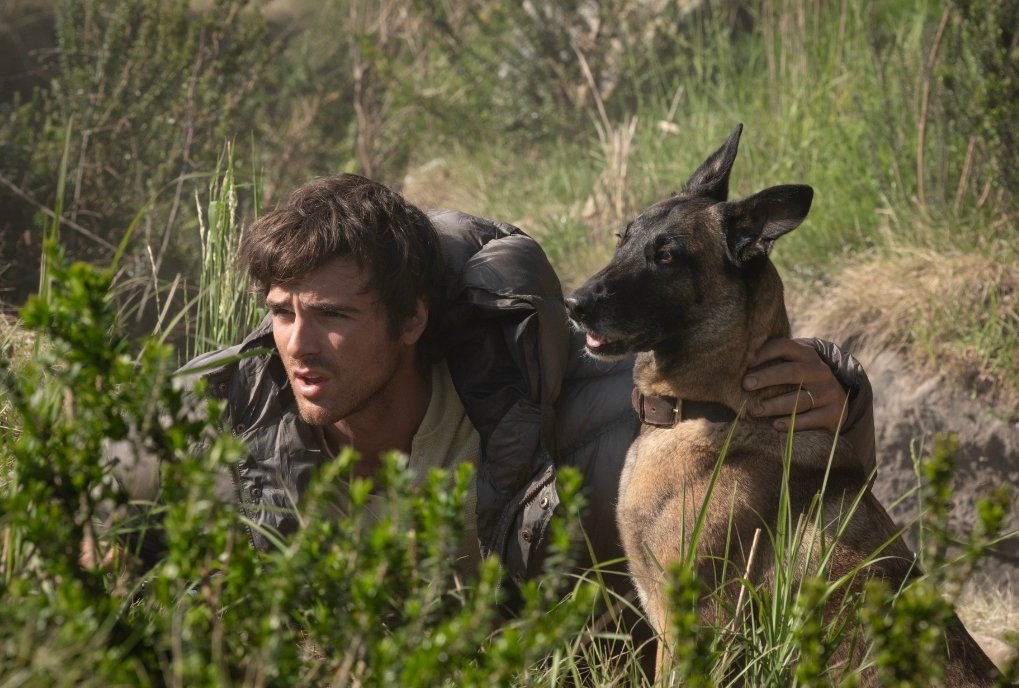Alt = Jacob Elordi as Hig and Jasper in 20th Century Studios' THE DOG STARS. Photo by Fabio Lovino. © 2026 20th Century Studios. All Rights Reserved.
The Dog Stars Movie Review